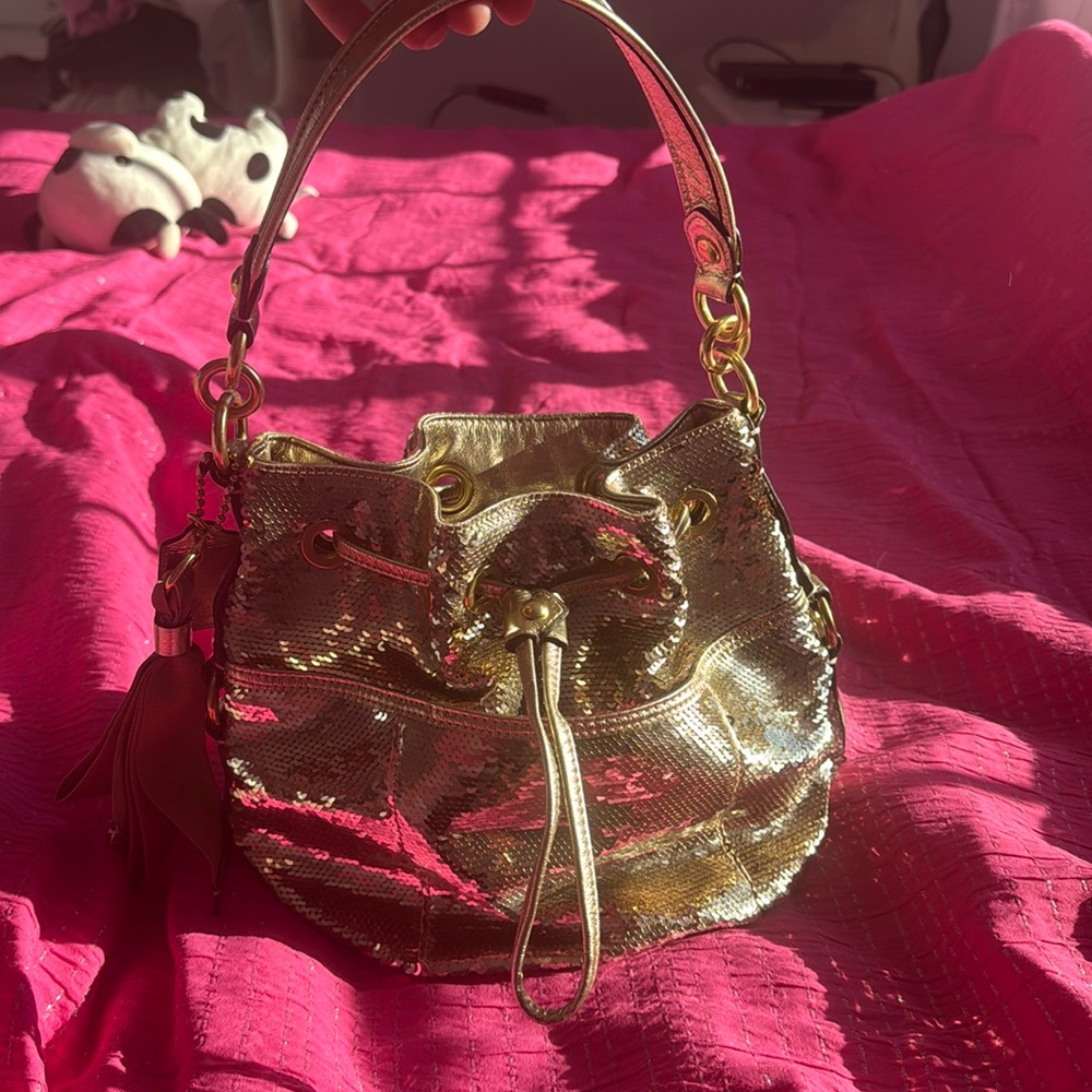 COPY - Coach Poppy sequin bag